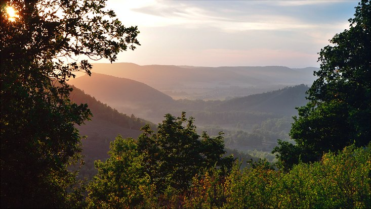 mountains, trees, sun