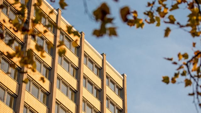 Ausschnitt Philturm, seitlich ragt ein Ast mit Herbstlaub ins Bild