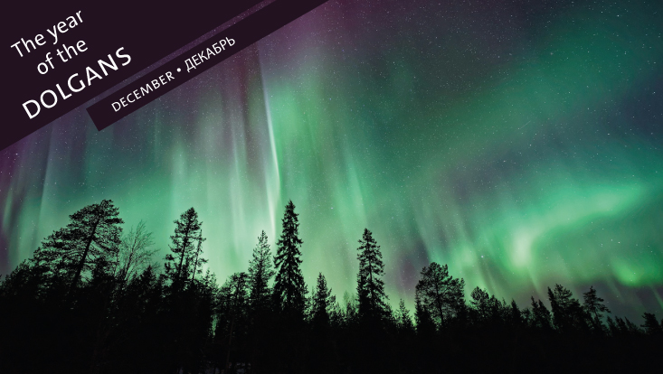 Aurora Borealis over the edge of a forest